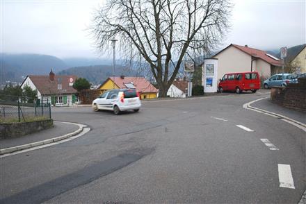 Schwanheimer Str/Bergheckenweg, 69412, 