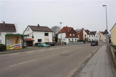 Ludwigshafener Str.  / Steckgraben, 67141, Neuhofen